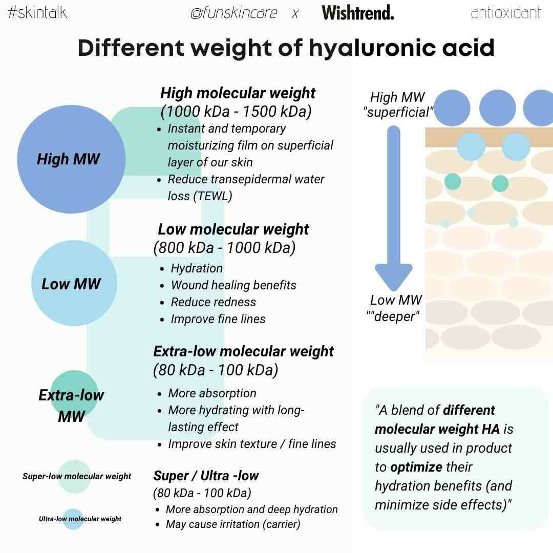 Comment obtenir l'acide hyaluronique ?