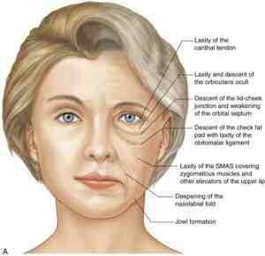 Comment rajeunir la peau du visage naturellement ?