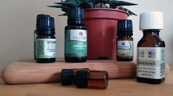 huile essentielle eucalyptus citronné huile essentielle eucalyptus citronné